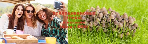 марихуана Белоозёрский